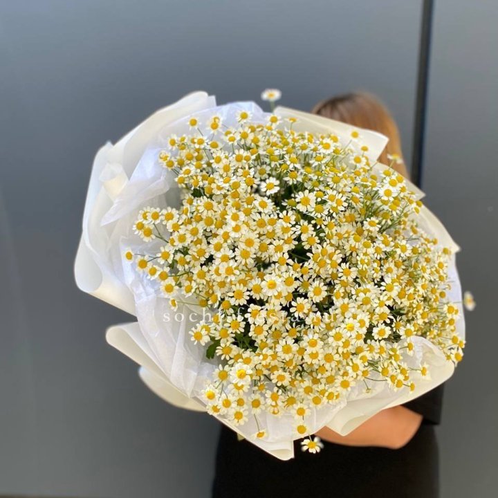Букет ромашек "Фемели" в Москве