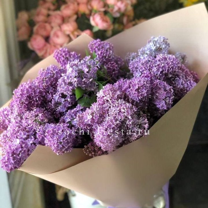 Букет сирени №2 в Москве