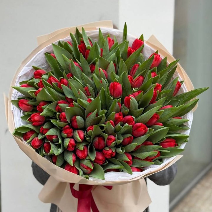 101 красный тюльпан в Москве