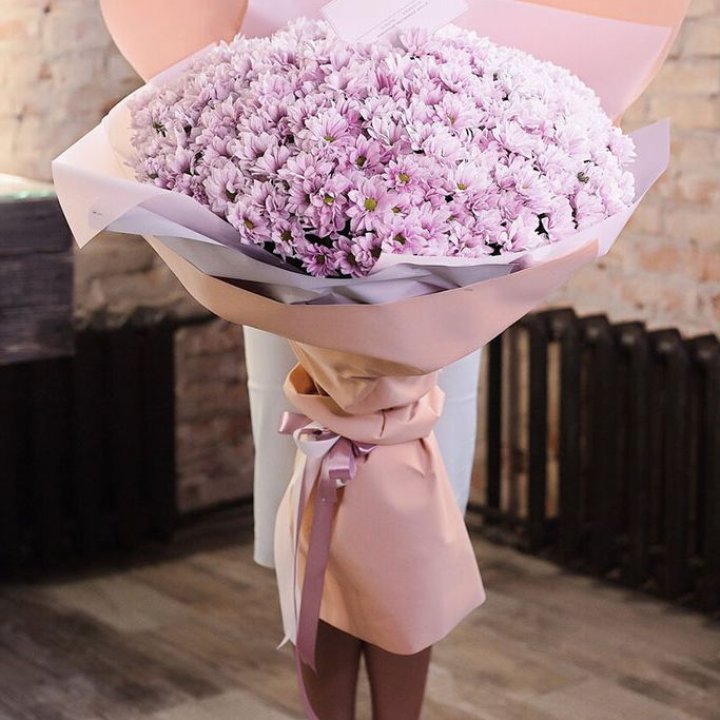 Облако хризантем №1 в Москве