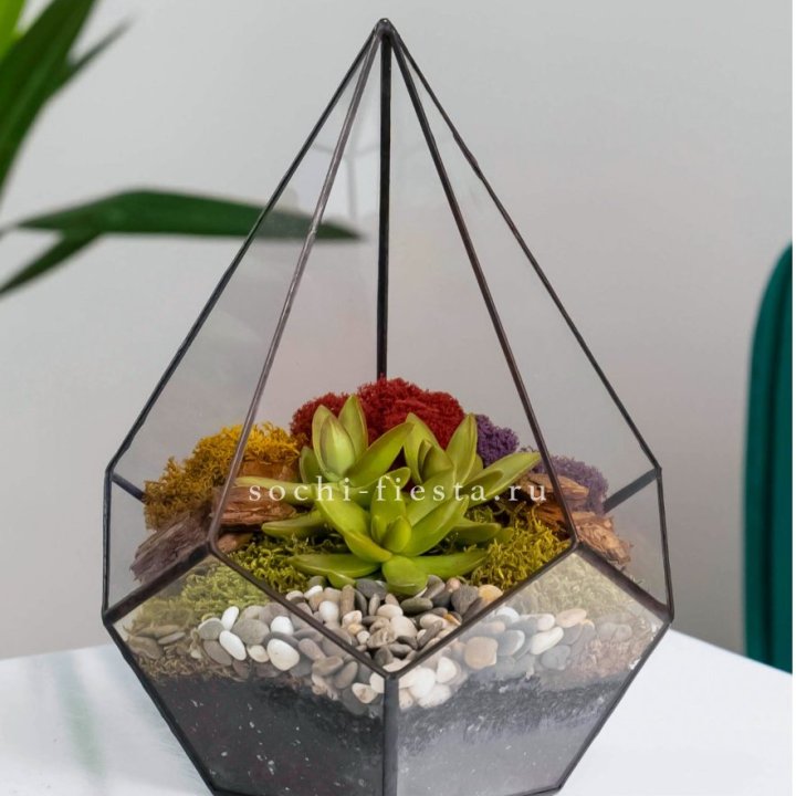 Флорариум Капля с суккулентом в Москве