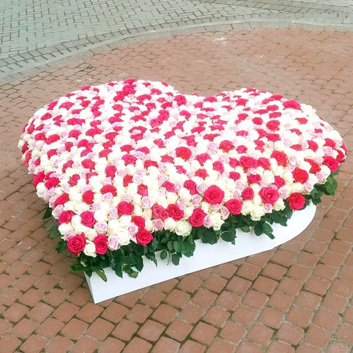 555 роза  в Москве