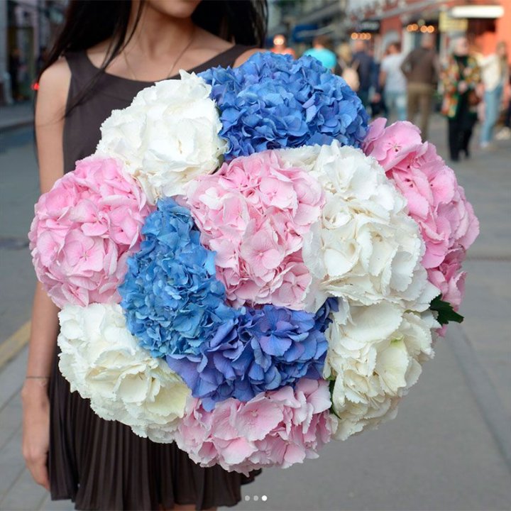 Букет гортензий "Инь-Янь" в Москве