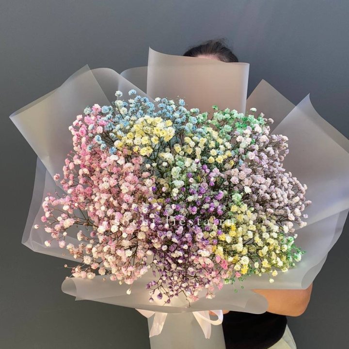 Радужные гипсофилы  в Москве