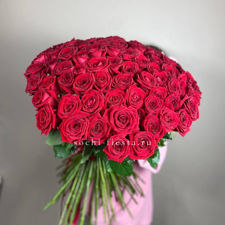 101  голландская роза  в Москве