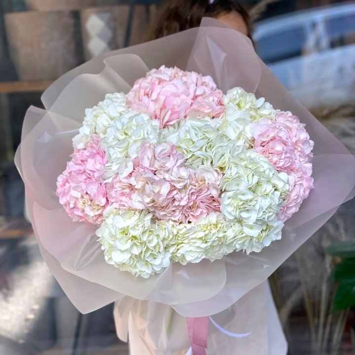 Букет гортензий № 3 с доставкой в Москве