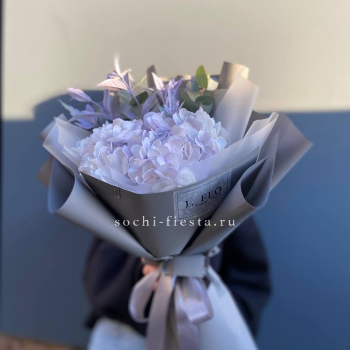 Гортензия "Виолета" в Москве