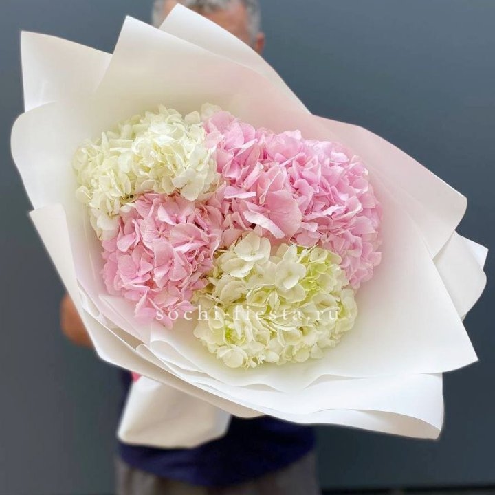 Букет гортензий №5 в Москве