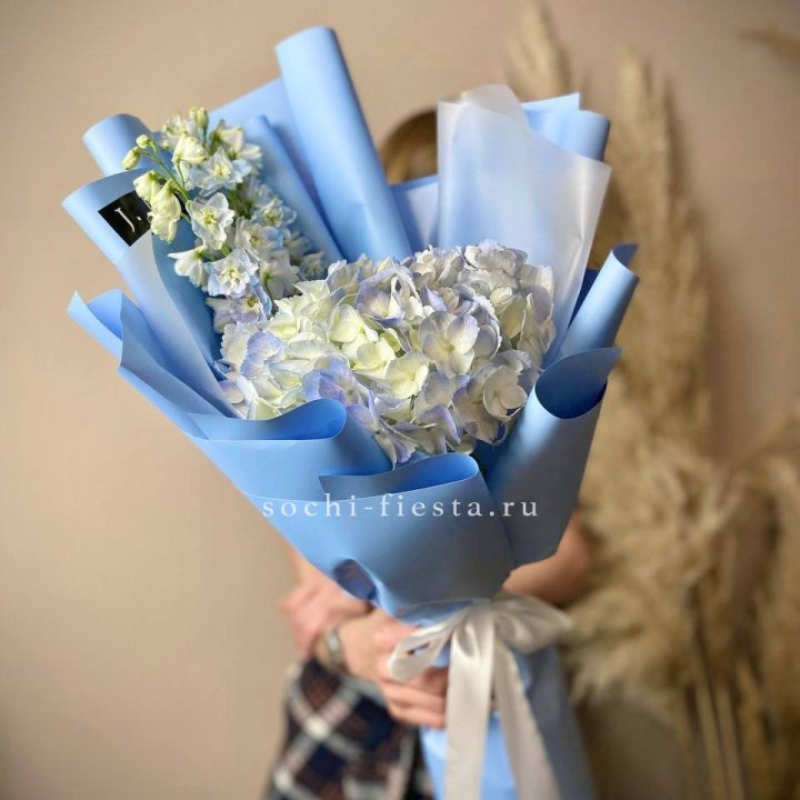 Гортензия "Блю скай" в Москве