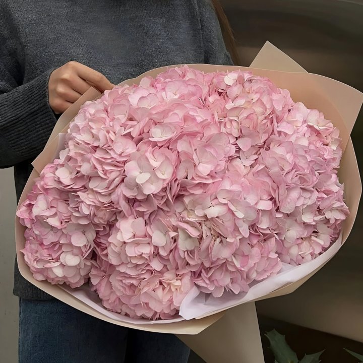 Гортензия  "РОЗЕ" в Москве