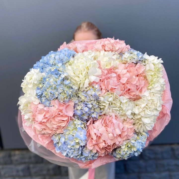 19 гортензий микс в Москве