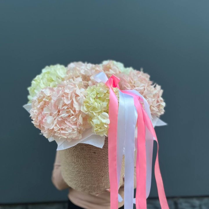 7 гортензий в кашпо в Москве