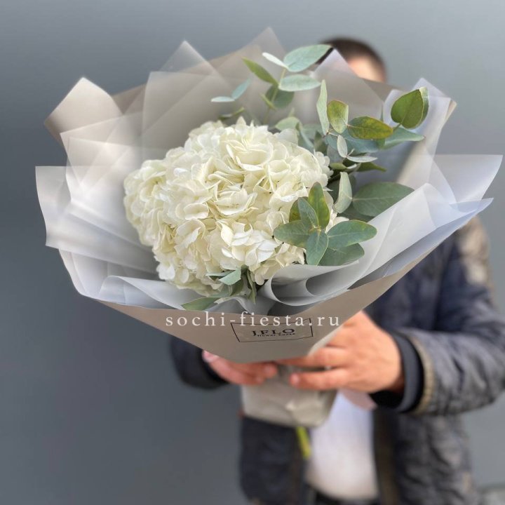  Букет  из белой гортензии в Москве