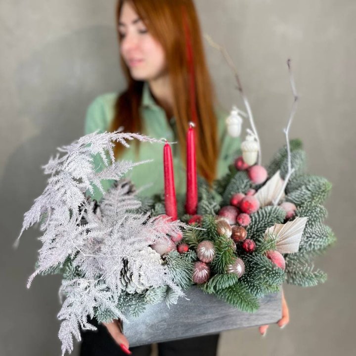 Бокс красный с нобилисом в Москве