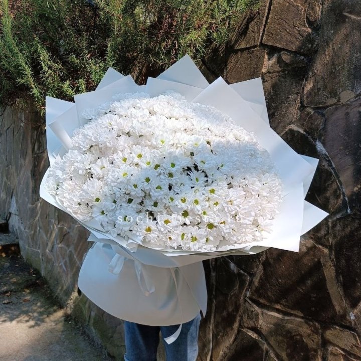 Облако хризантем №2 в Москве