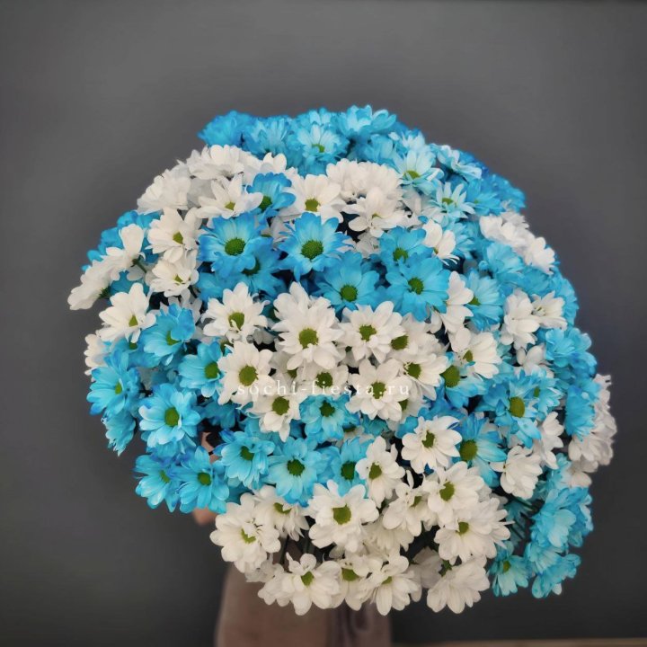  Букет хризантем микс в Москве