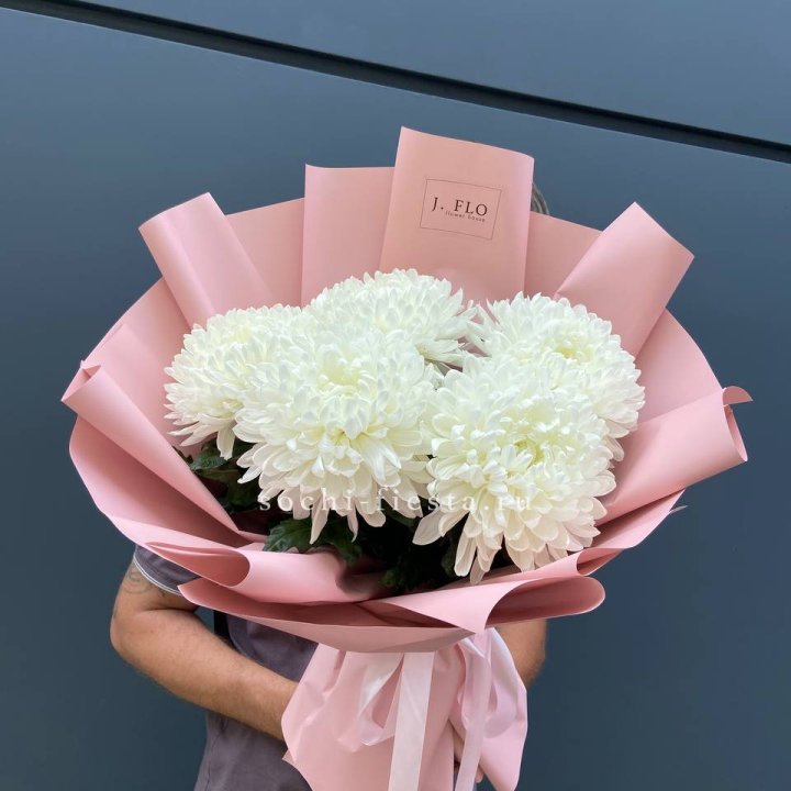 Профитроли №2 в Москве