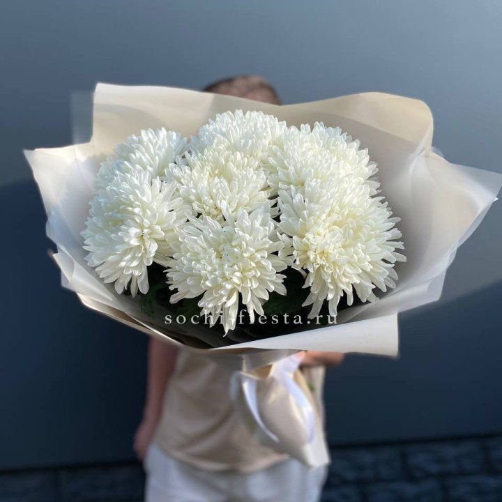 Профитроли в Москве