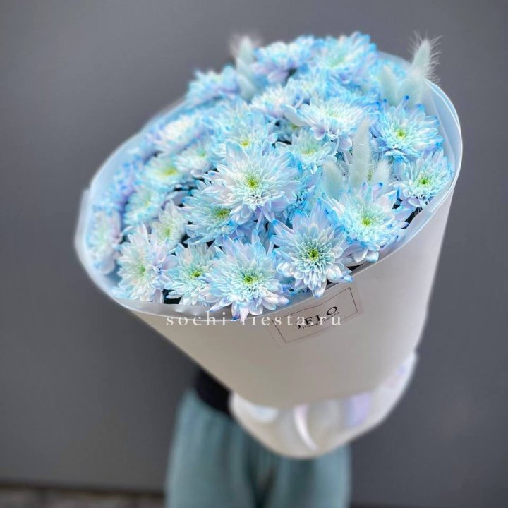  Букет нежно-голубых хризантем  в Москве