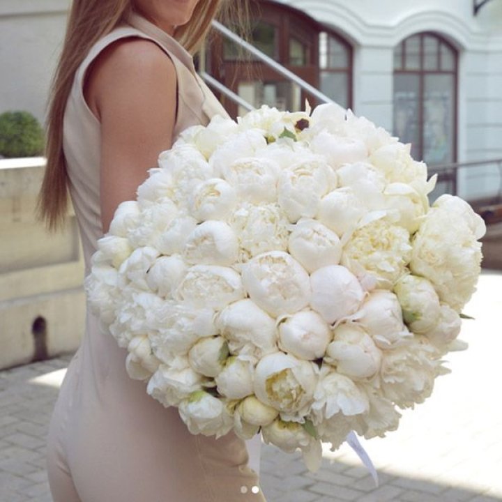 51 белый пион в Москве