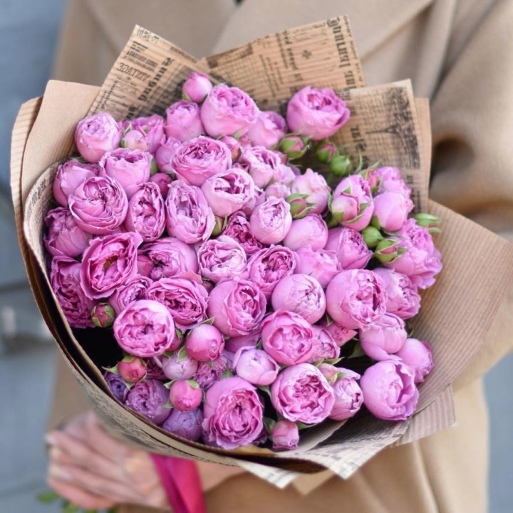 Роза Мисти Баблс в Москве