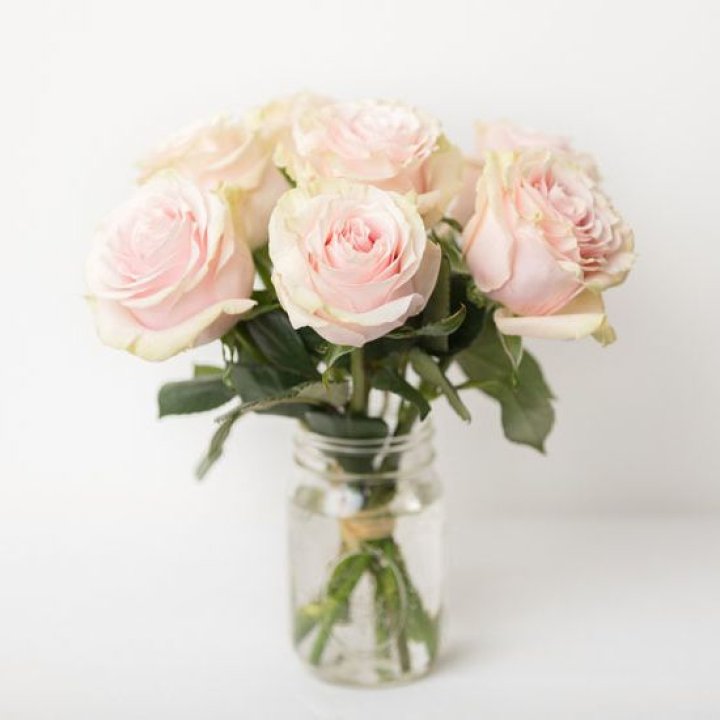 7 кремовых роз в Москве