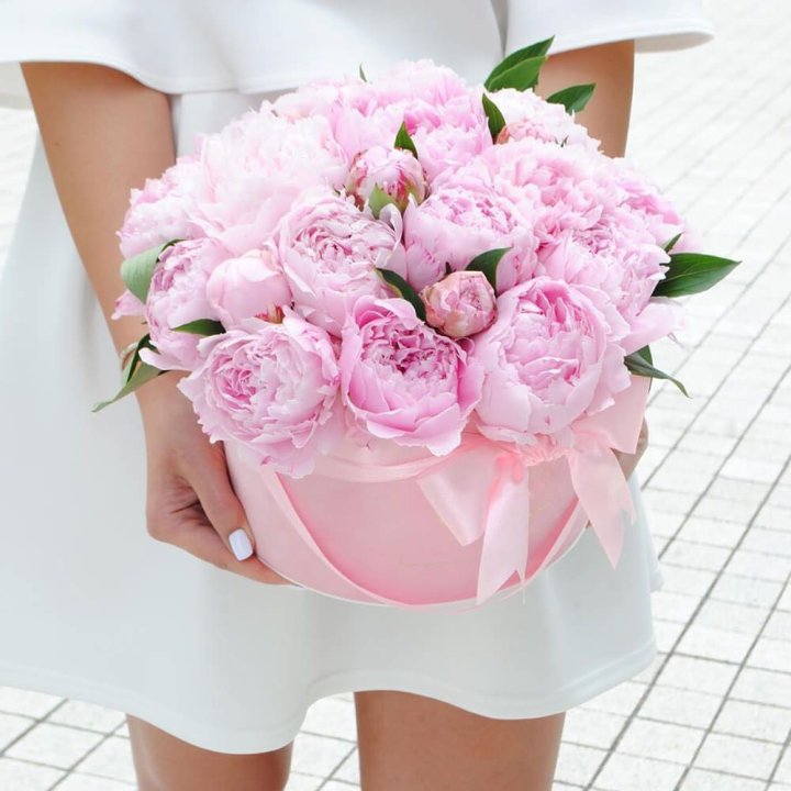 Пионы в шляпной коробке в Москве