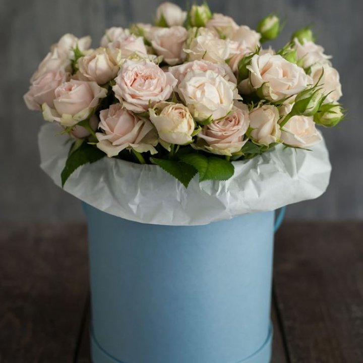 Бокс с бомбастиком в Москве