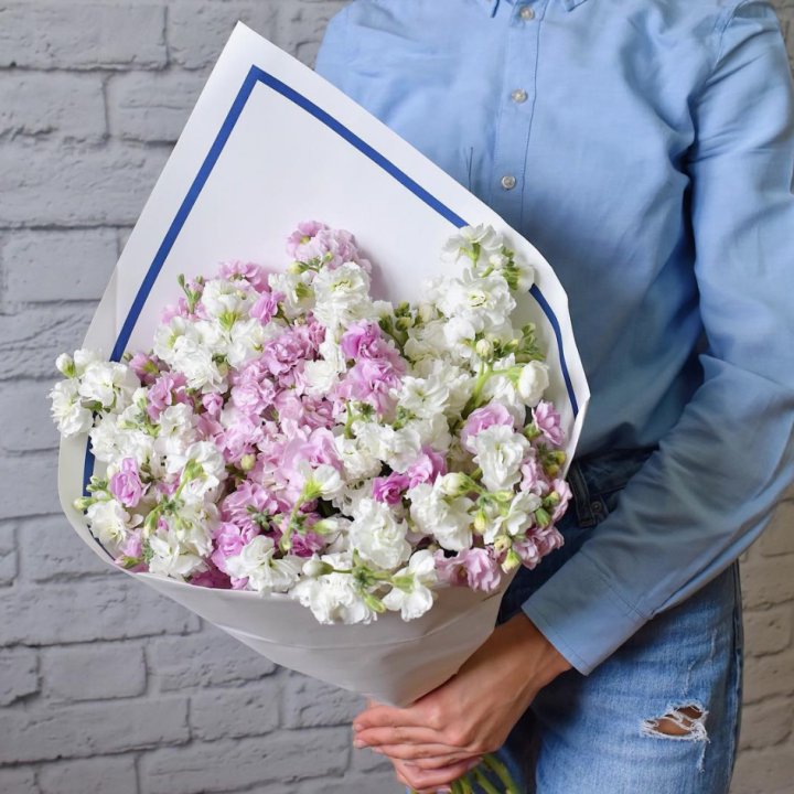 Маттиола в Москве