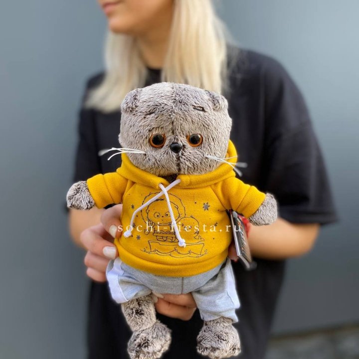 Кот Басик в худи в Москве