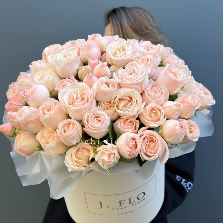 Бомбастик бокс Премьер в Москве