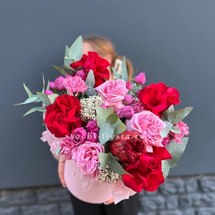  Бокс "Королева" в Москве