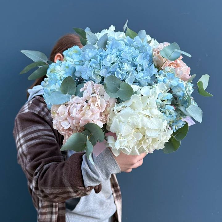 Гортензии в коробочке в Москве