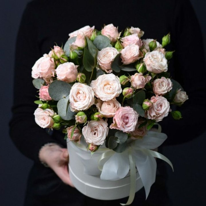 Бомбастик бокс №2 в Москве