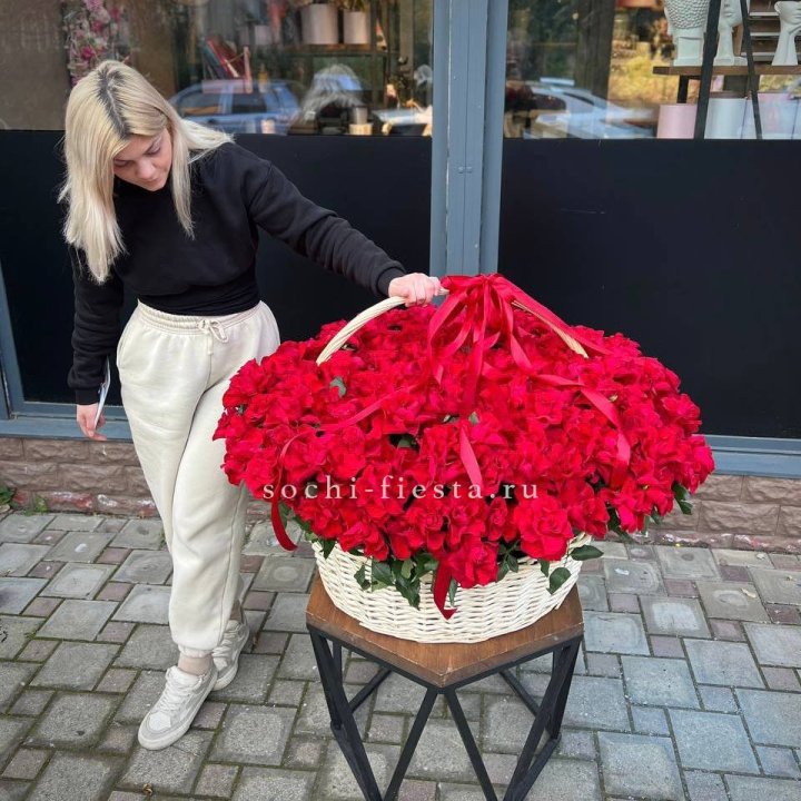 201 французская красная роза в Москве