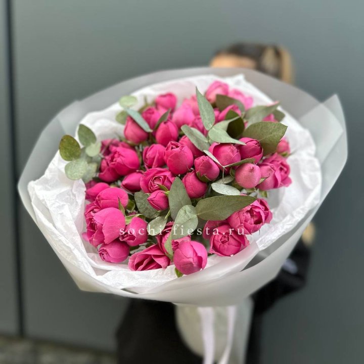 17 Мисти бабблс в Москве