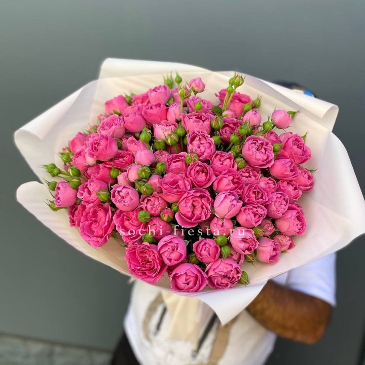 Мисти Баблс 35шт в Москве