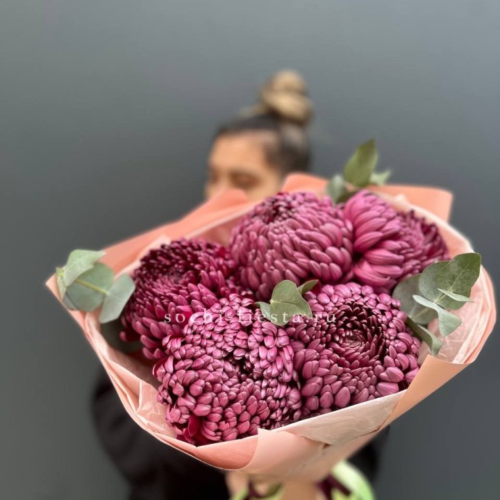 Хризантемы  Бигуди  в Москве