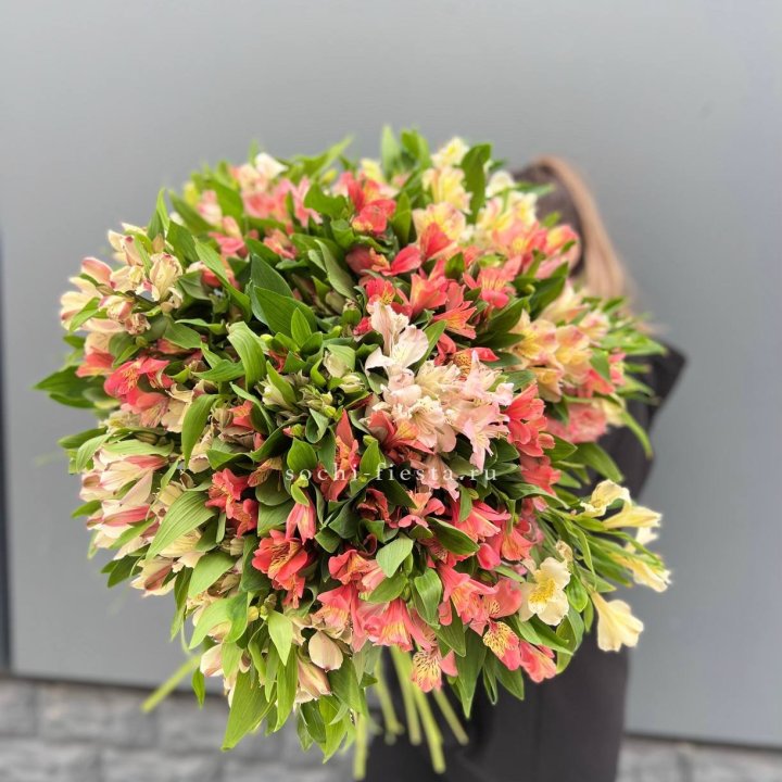 51 альстромерия в Москве