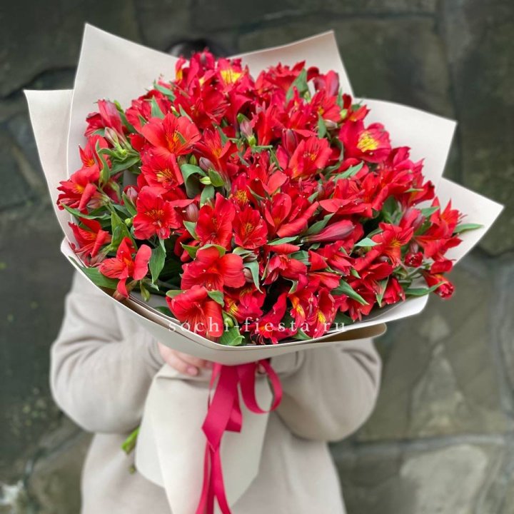51 альстромерия в Москве