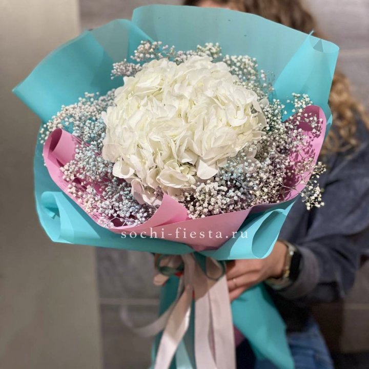 Гортензия "Райдов" в Москве