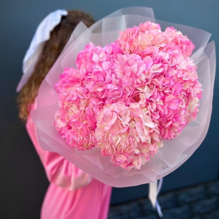 7 ярко розовых гортензий в Москве