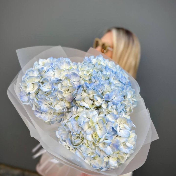 Букет из 3 голубых гортензий  в Москве