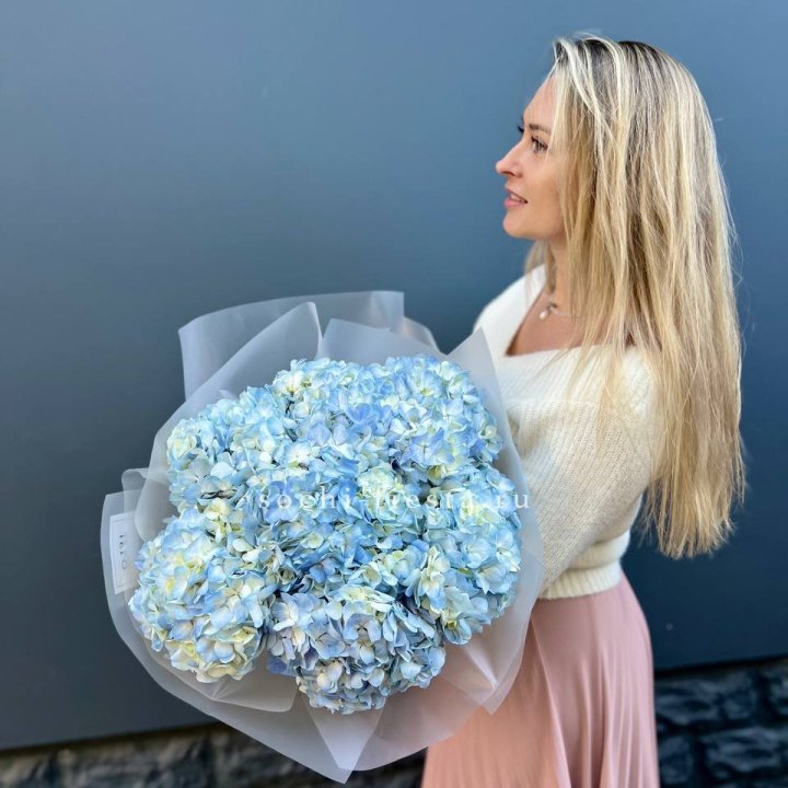 7 голубых гортензий в Москве