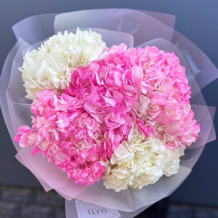 5 бело-розовых гортензий в Москве