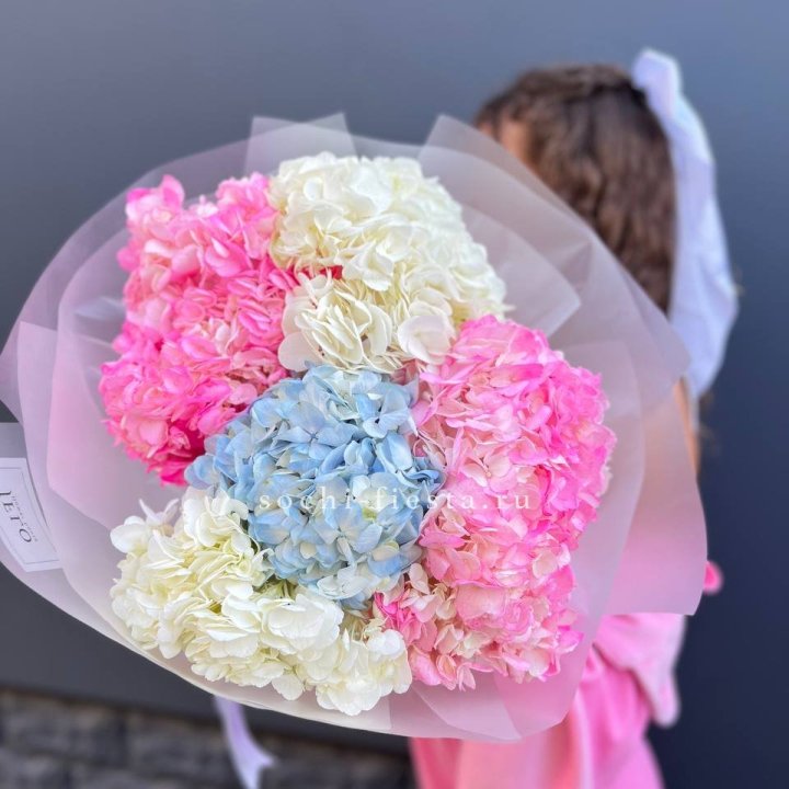 7 гортензий микс в Москве