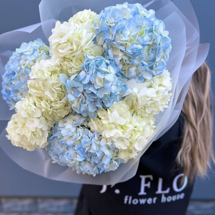 9 бело-голубых гортензий в Москве