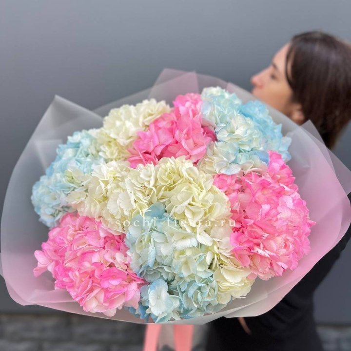 9 гортензий микс в Москве
