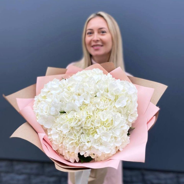 Гортензия белая в Москве