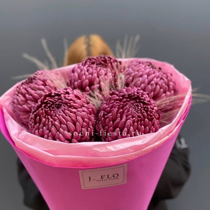 Хризантемы  Бигуди с стифой в Москве